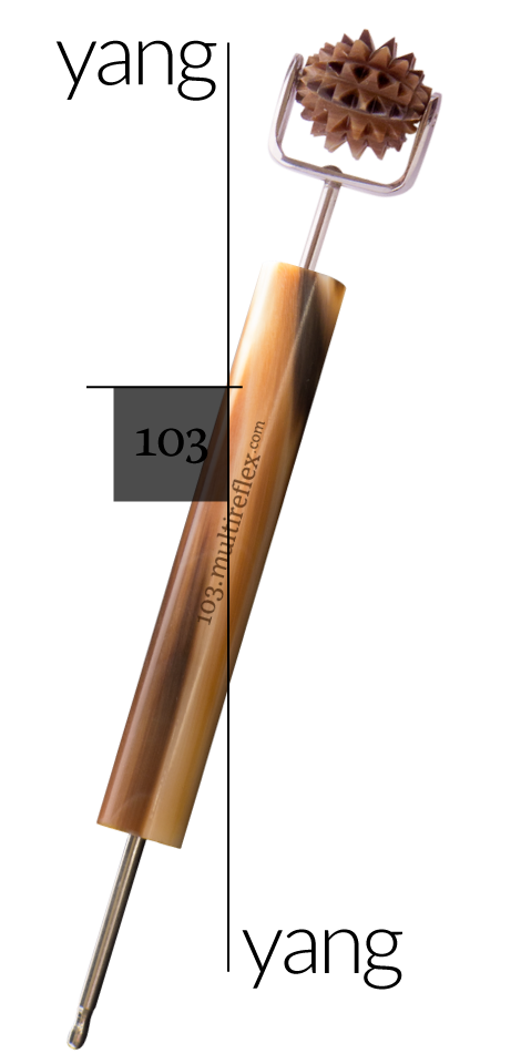 Dien Chan multireflex tools