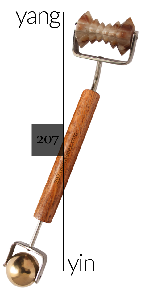 Dien Chan multireflex tools