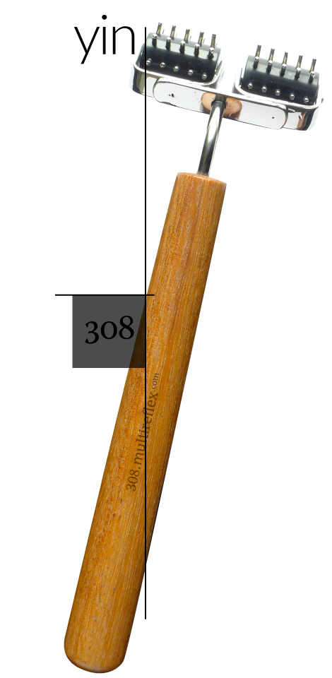 Dien Chan multireflex tools